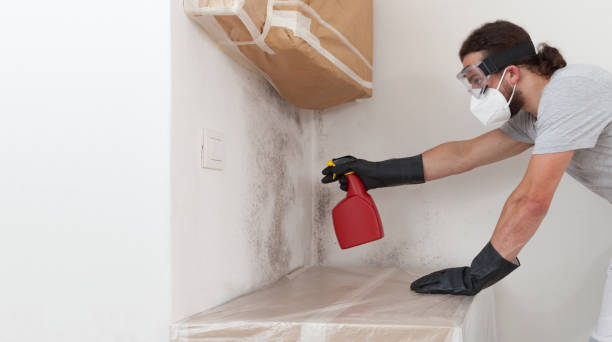 Professional Attic Mold Remediation technician working in Lincoln University, PA